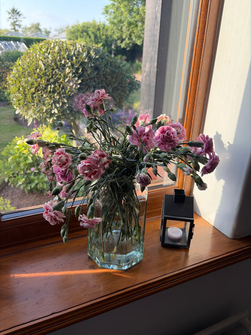 Pinks (Dianthus) Bouquet