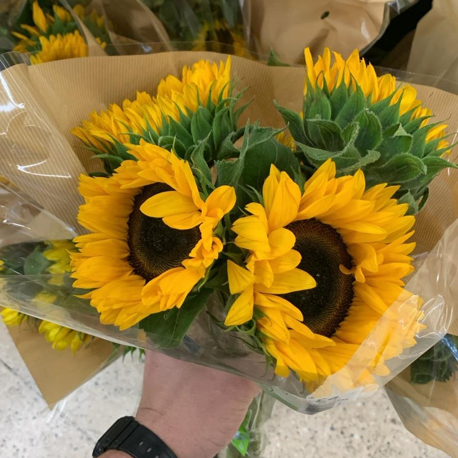 Sunflower Bouquet