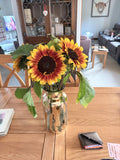 Special Bicolour Sunflowers