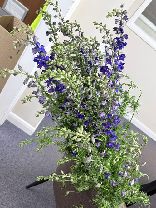Larkspur Bouquet