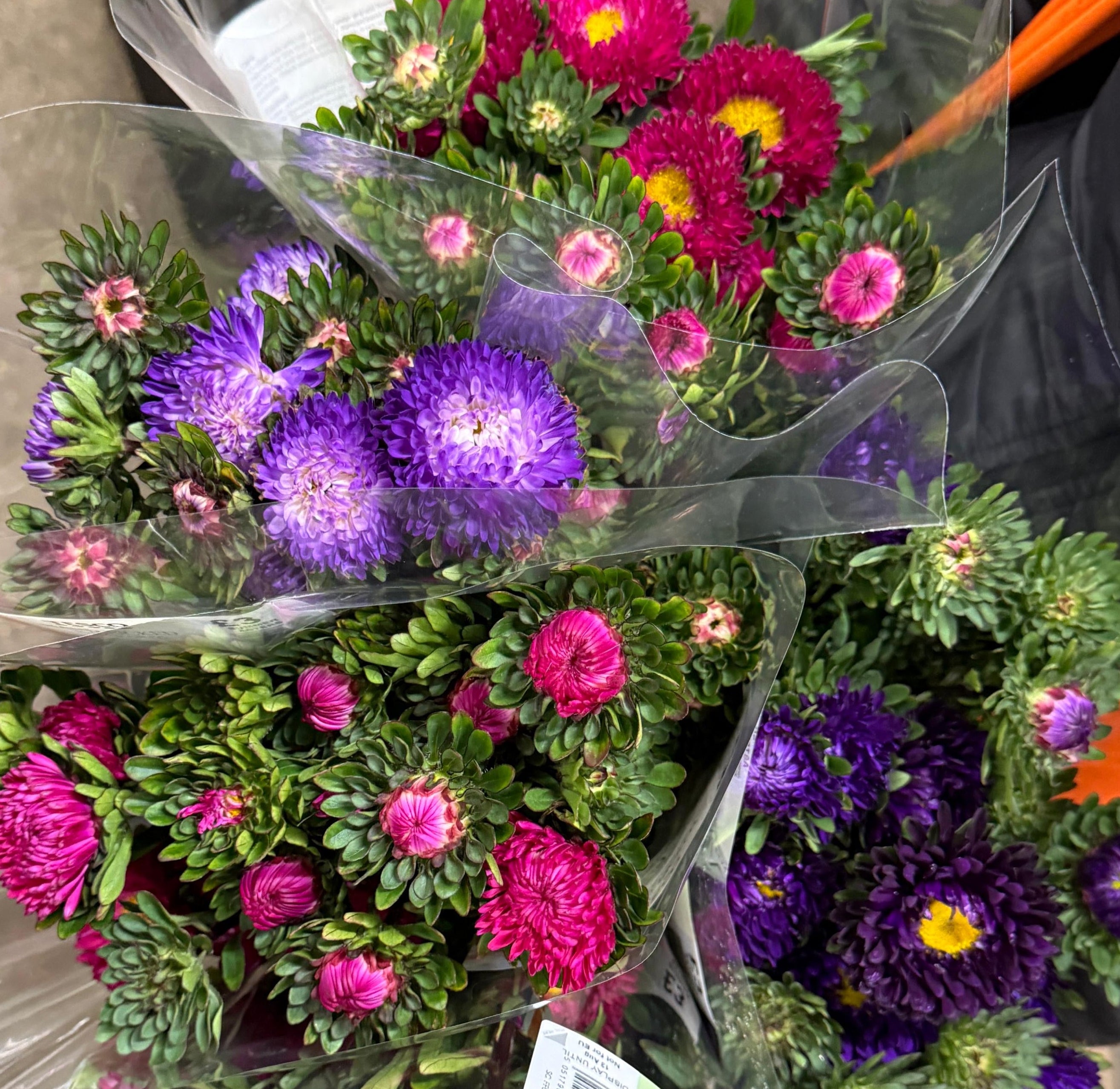 Aster Bouquet