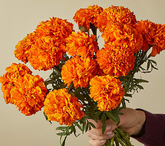Marigold Bouquet